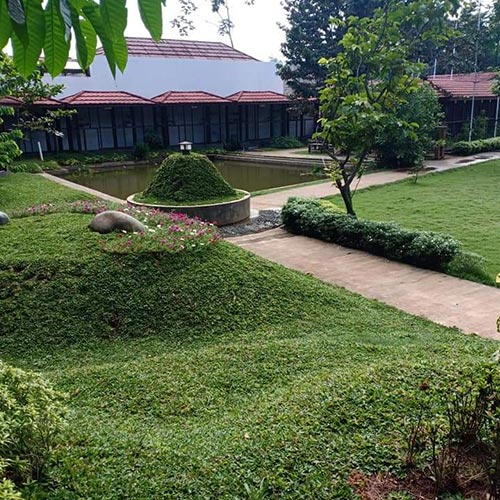PLANTSCAPE GARDEN