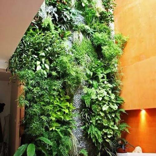 PLANTSCAPE GARDEN