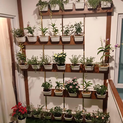 PLANTSCAPE GARDEN